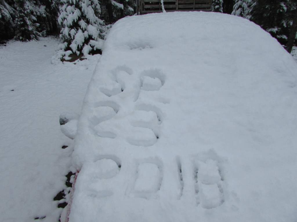 Car windscreen with "Sp 23 2018" drawn in snow.