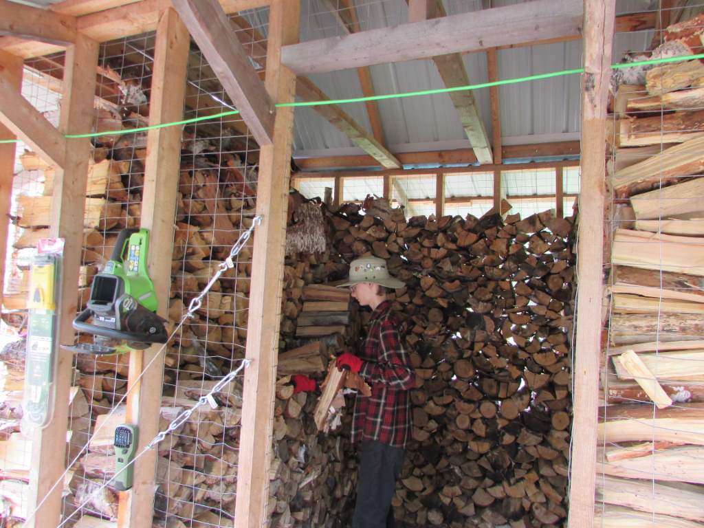 A wonderful young man piling wood inside a woodshed.